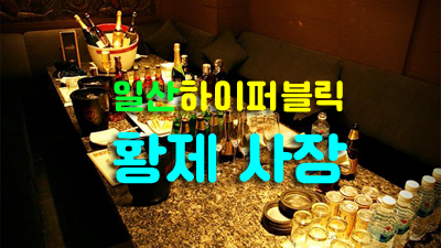 퍼블릭업소시스템 일산퍼블릭 눈부신 빛의 반대편으로