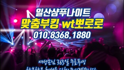 일산나이트 가격