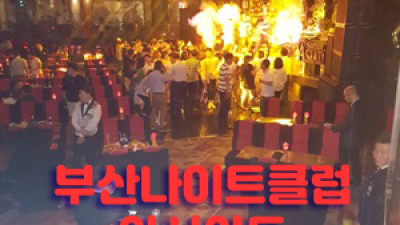 부산나이트 부산나이트 제발 살아남아 줬으면